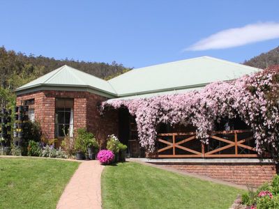 40 Nelsons Road, Collinsvale