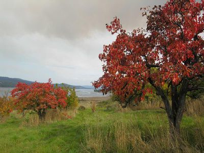 Huon Highway, Franklin