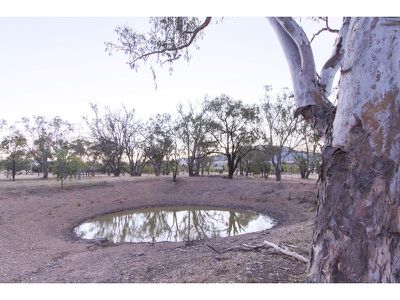 14-16 Booloocooroo Road, Gunnedah