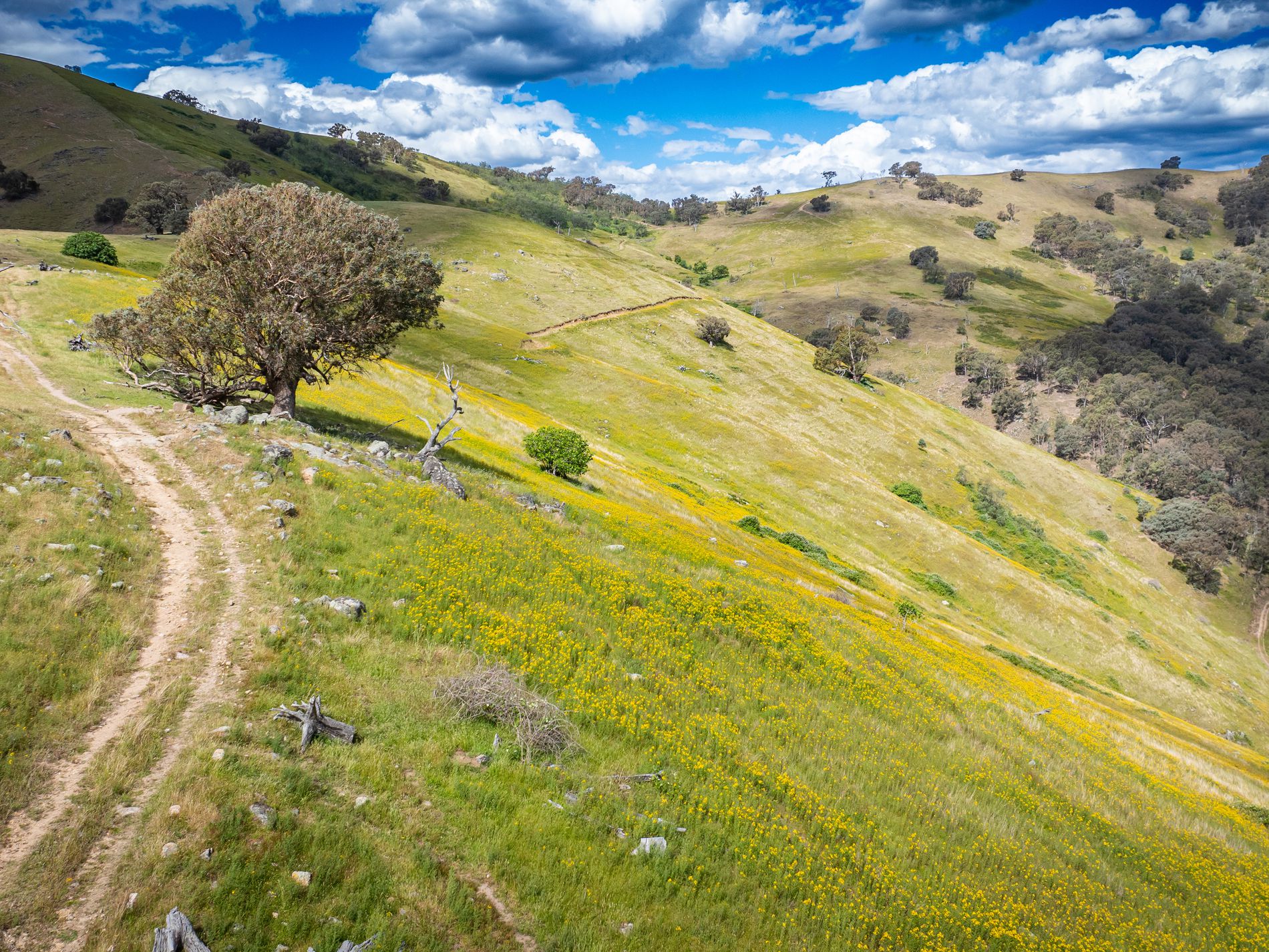 4118 Murray River Road, Thologolong