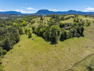 2394 NIMBIN ROAD, Nimbin