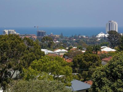 55 Paramatta Road, Doubleview