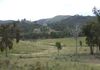Lot 80 Lewis Ponds, Orange