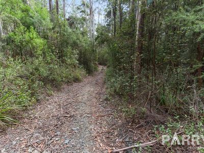 691a Brown Mountain Road, Karoola