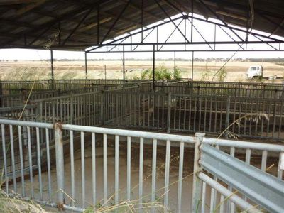 3341  Borung Highway, Donald