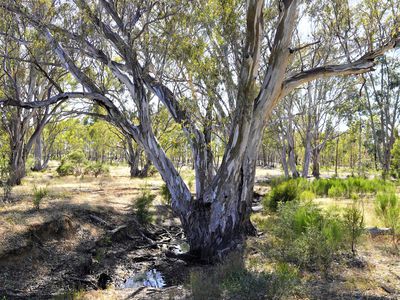 165 Raglus Road, Gobarup