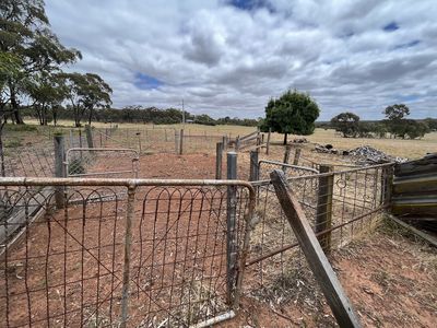 83A Newbold Street, Wedderburn