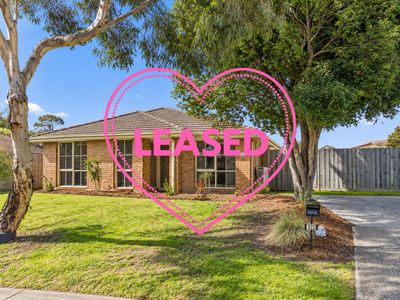 15 Capella Pl, Carrum Downs