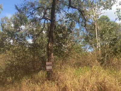 2 Hutchinson Street, Cooktown