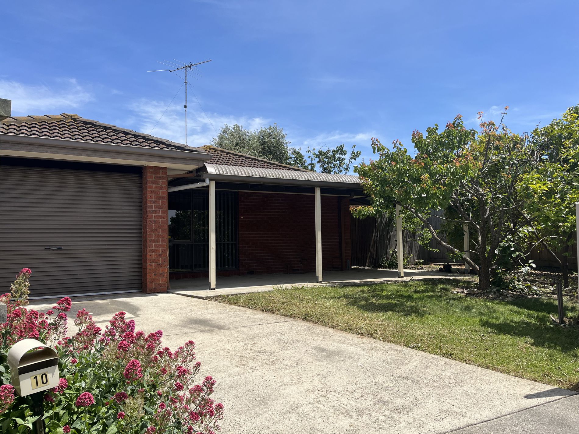 10 Dorr Court, Belmont