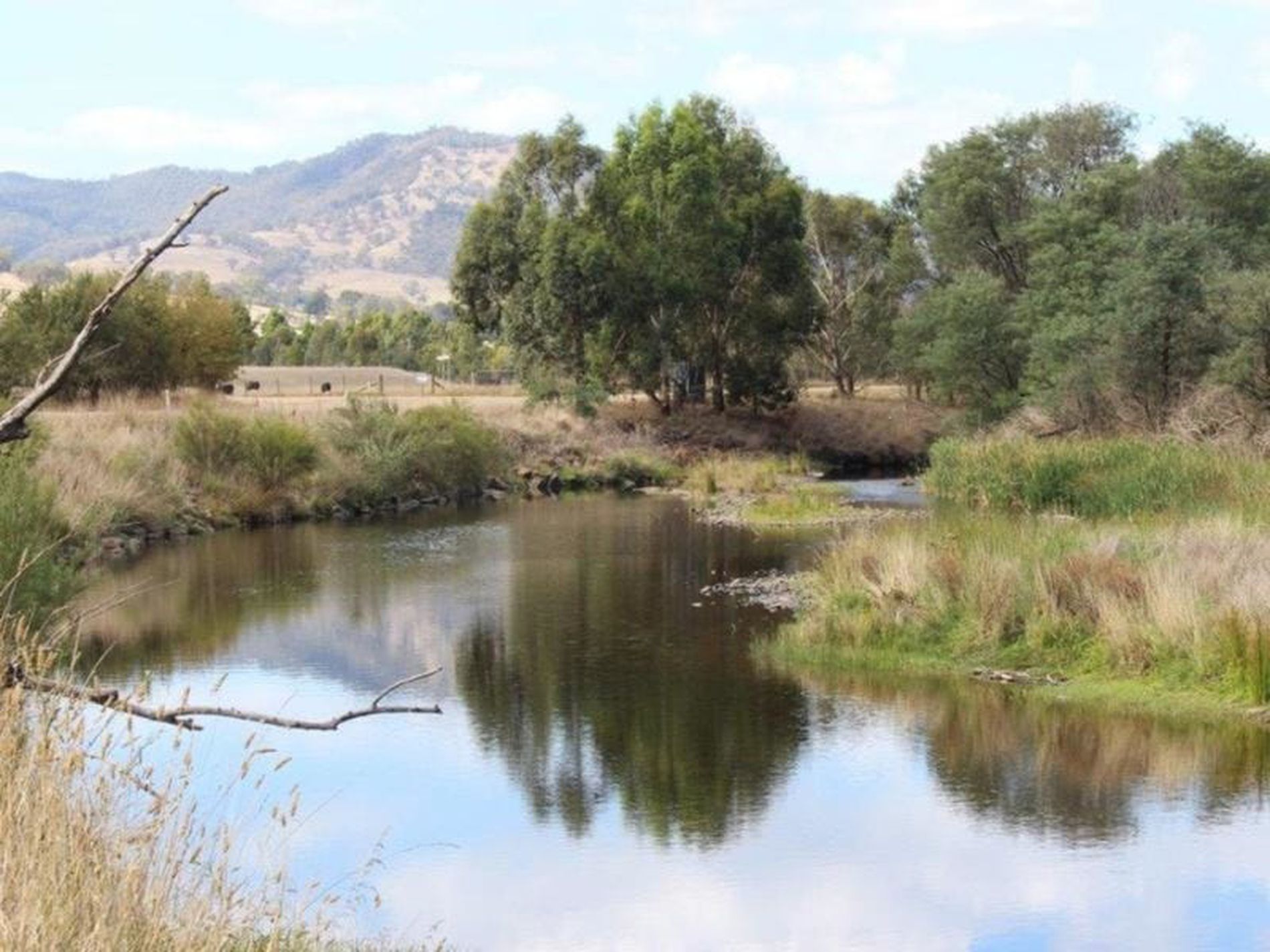 75 Killarney Lane BOOROLITE, Mansfield District Property Group