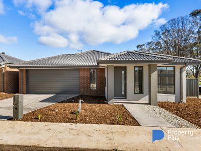 33 Goldsworthy Street, Huntly