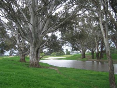 Back Walbundrie-Rand Road, Rand