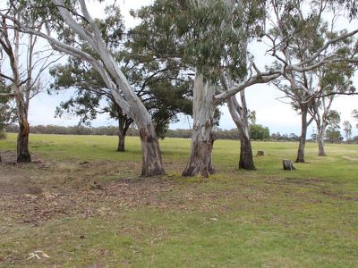 4 / Shady Acres Lane, Moulamein