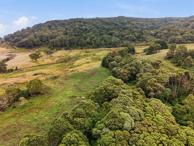 28834 Tasman Highway, Weldborough