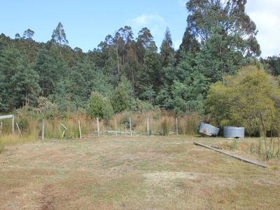 323 Dulcia Road, Gordon