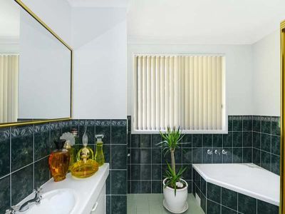 10 Lavender Grove, Shellharbour