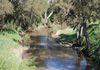* Boomey Stud  Bell River Block - Euchareena Road, Molong