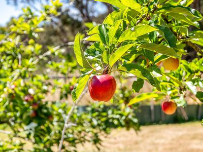 27 Rowes Road, Geeveston