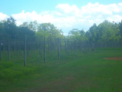 1 Railway Avenue, Cooktown