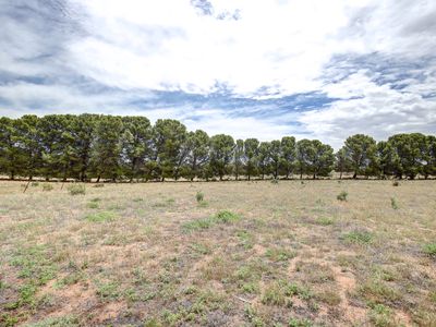 8-10 Coolibah Drive, Murray Bridge East