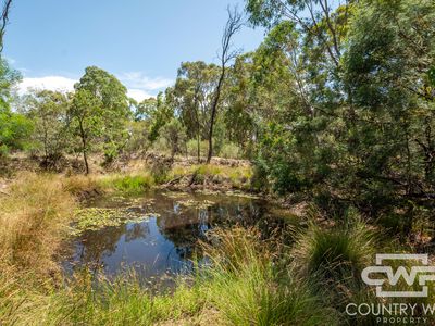 3 Clifford Avenue, Emmaville