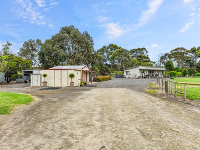 183 Williams Road, Millicent