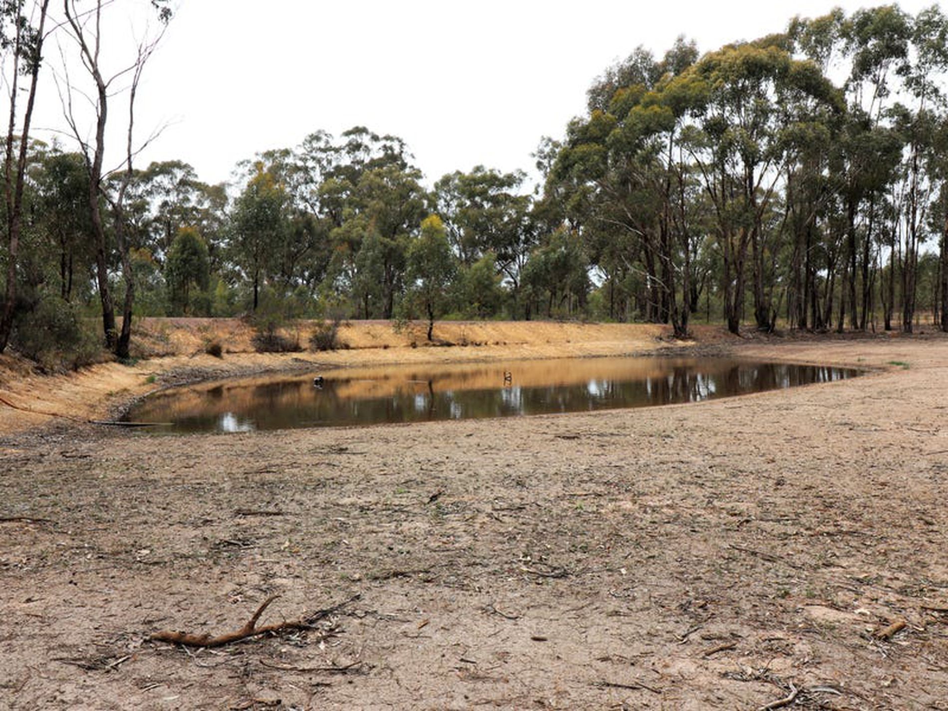 595 Bayles Road, Murchison