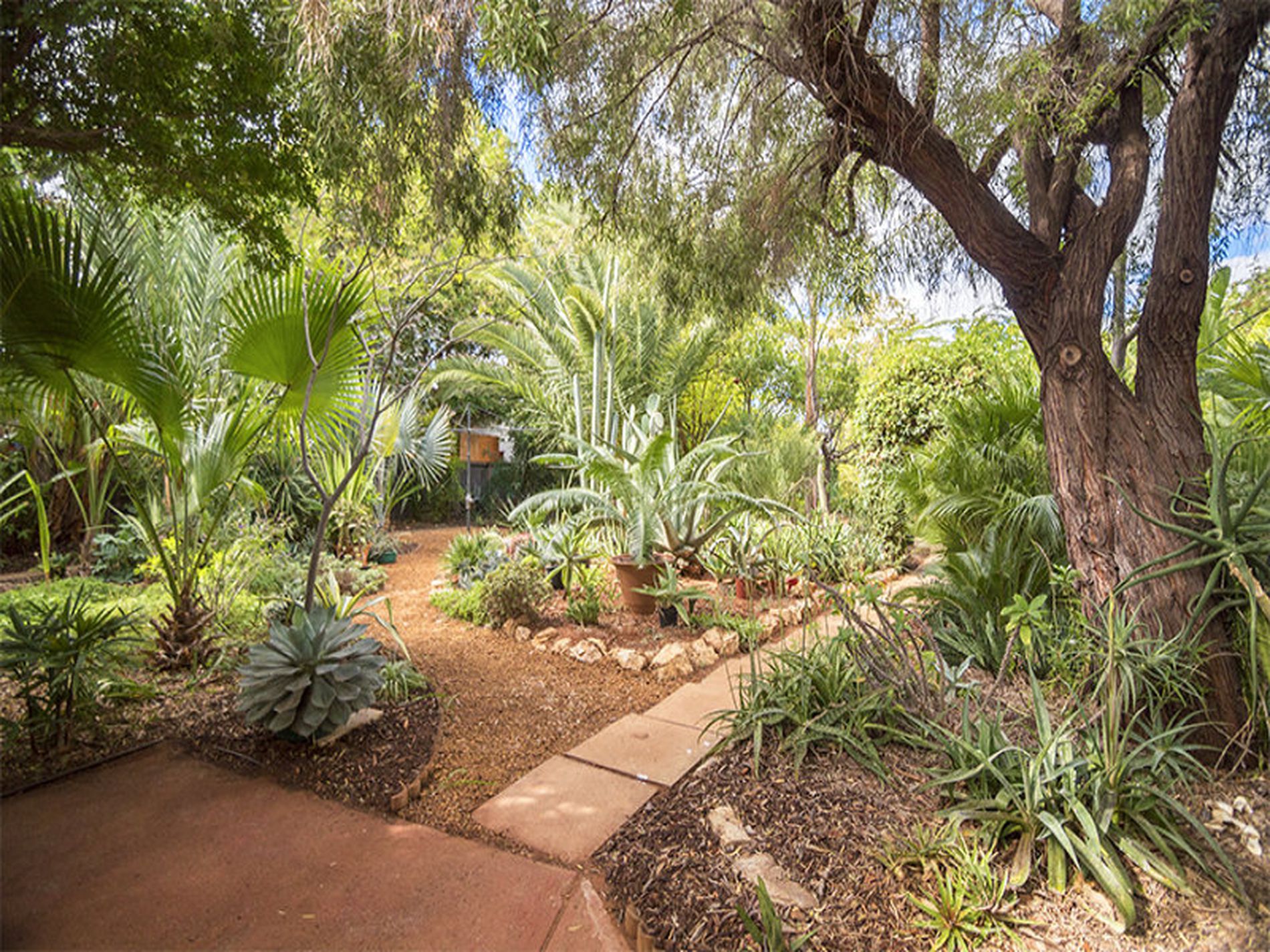 87 Lyall Street, Lamington