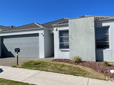 71 Carmathen Ave, Butler