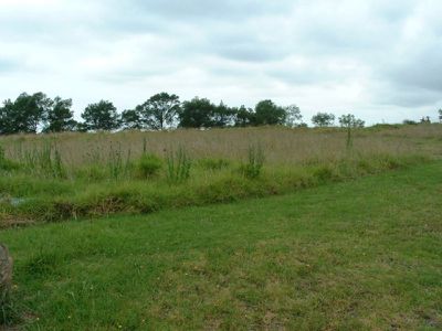 Lot 3 Lot 3 Graydons Pointer Road, Milton