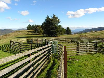 160 Coalmine Road, Kaoota