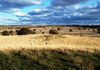 * Burrendong Way, Euchareena