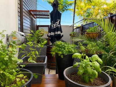 Urangan
