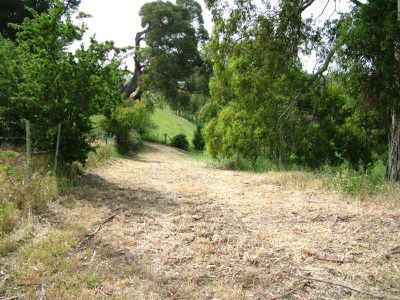 124 Dillons Hill Road, Cygnet