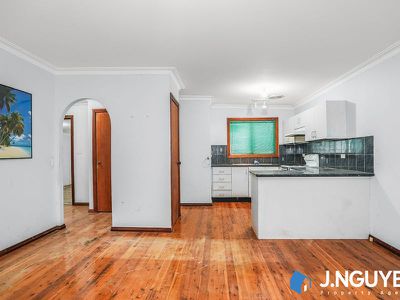 67 Beckenham Street, Canley Vale