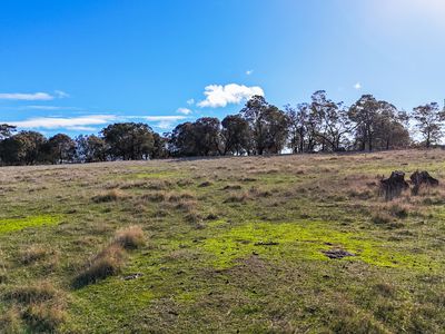 31 Minerva Drive, Perth