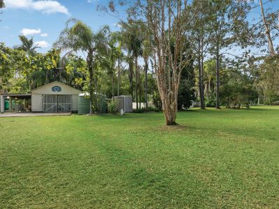 10 Wattlebird Drive, Doonan