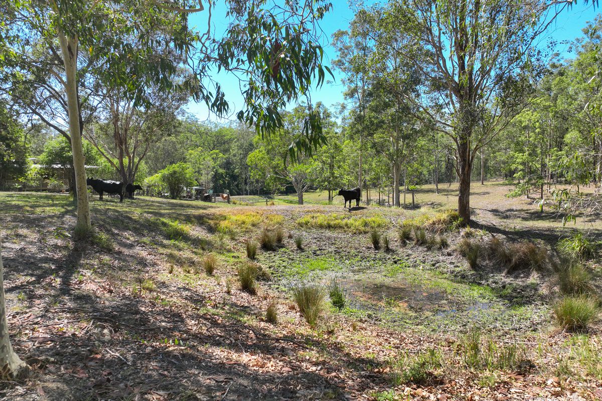 332 Kimbriki Road, Burrell Creek