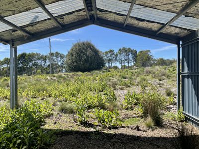 7 Vincent Street, Waratah