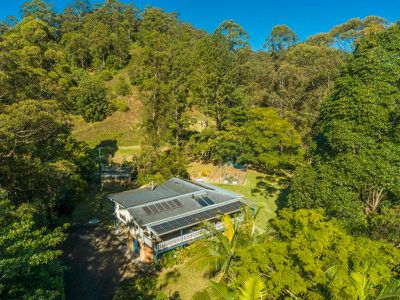 1117 Tuntable Creek Road, Nimbin