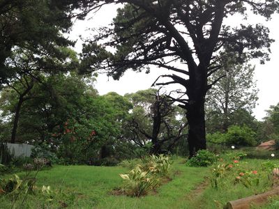 15 Jones Avenue, Primbee