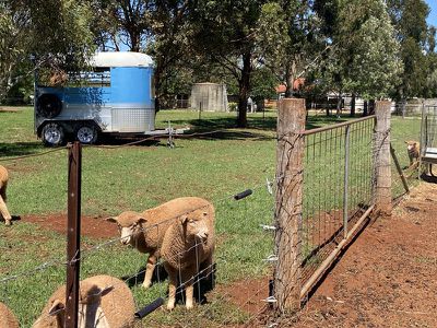 7 Taylors Road, Kingaroy
