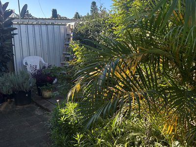 4 Woodrow Place, Figtree