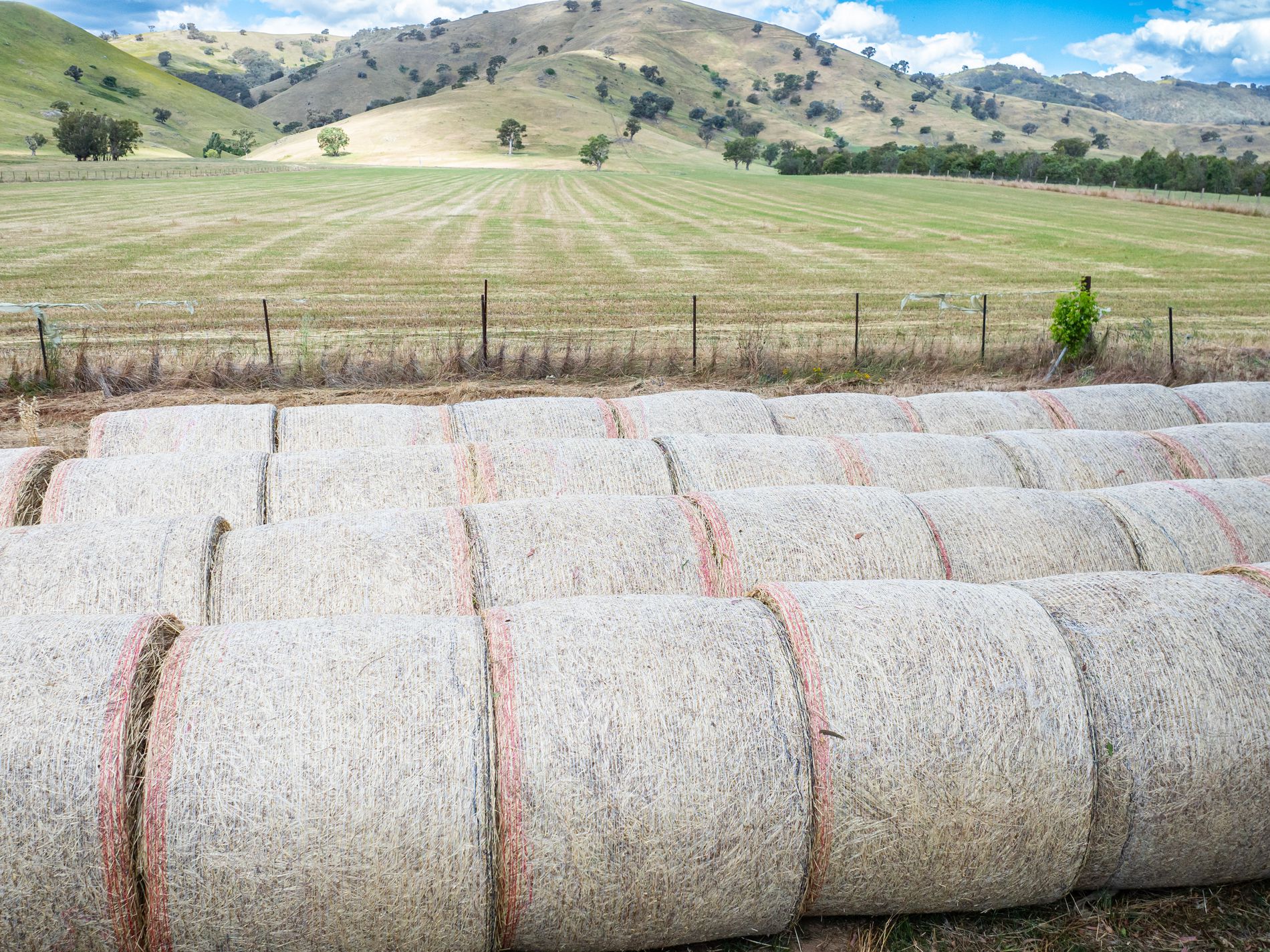 4118 Murray River Road, Thologolong