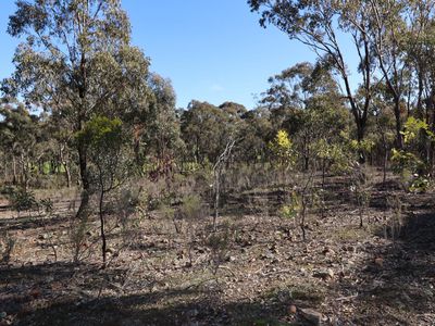 LOT 5  LOT 5  Tait Hamilton Road, Cornella
