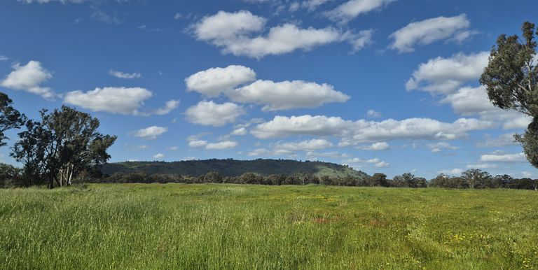 393 Mansfield Road, Euroa