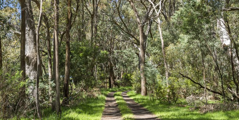 Lot 1 & 2, Bonnie Doon Road  , Marraweeney