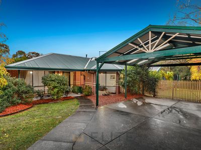 20 Wimmera Court, Berwick