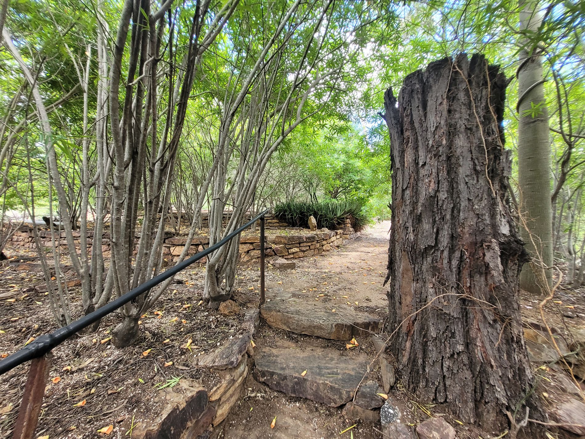 1 tea garden road , Rubyvale